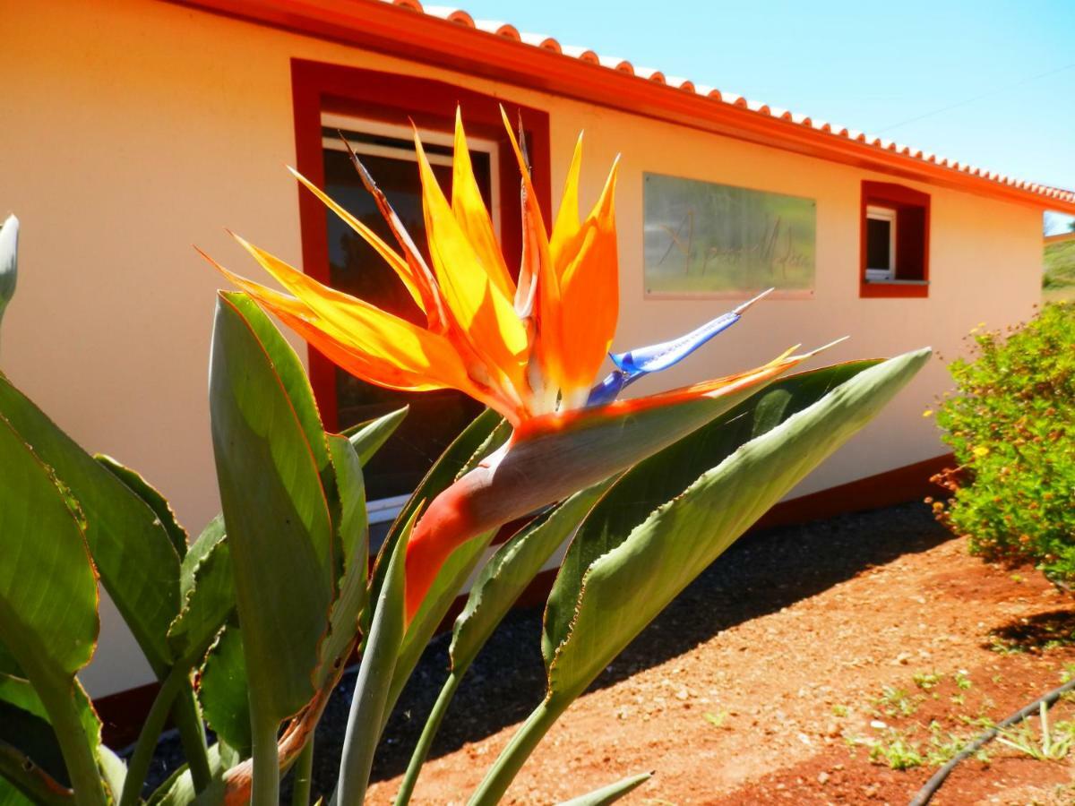 Au Petit Madere Villa Prazeres Luaran gambar